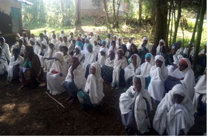 Advocating for End FGM in the Amhara conflict zone in Ethiopia